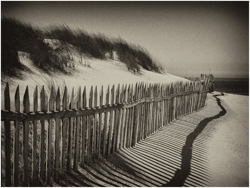 59 - DUNES - PETRENS CELINE - belgium.jpg